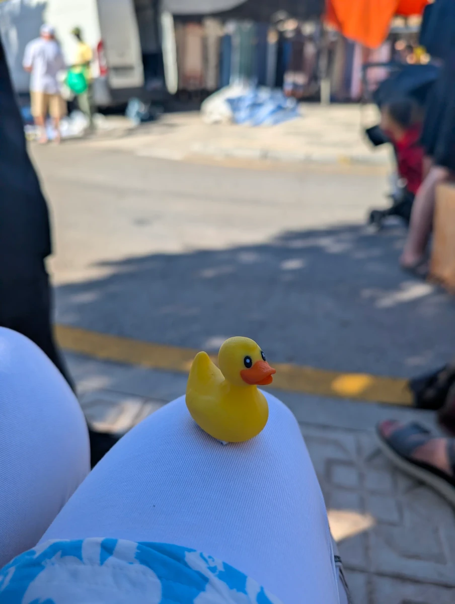 Aktivitätsfoto für Quack, James Quack