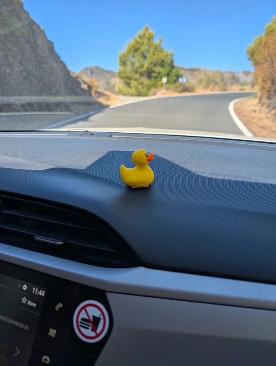 Aktivitätsfoto für Quack, James Quack